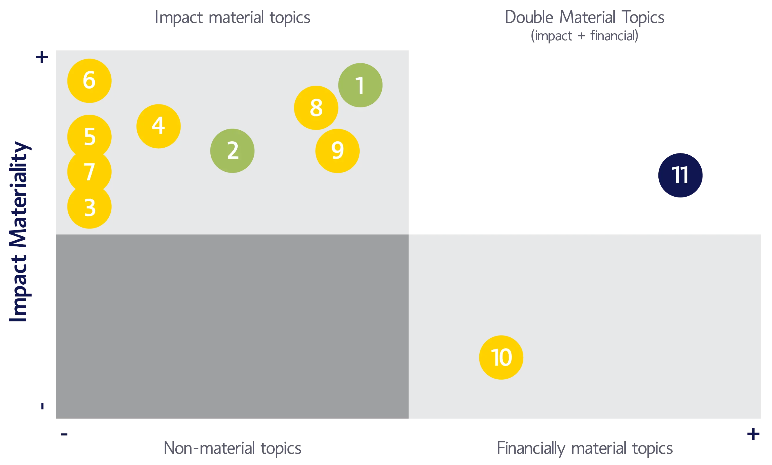 Double Materiality Matrix