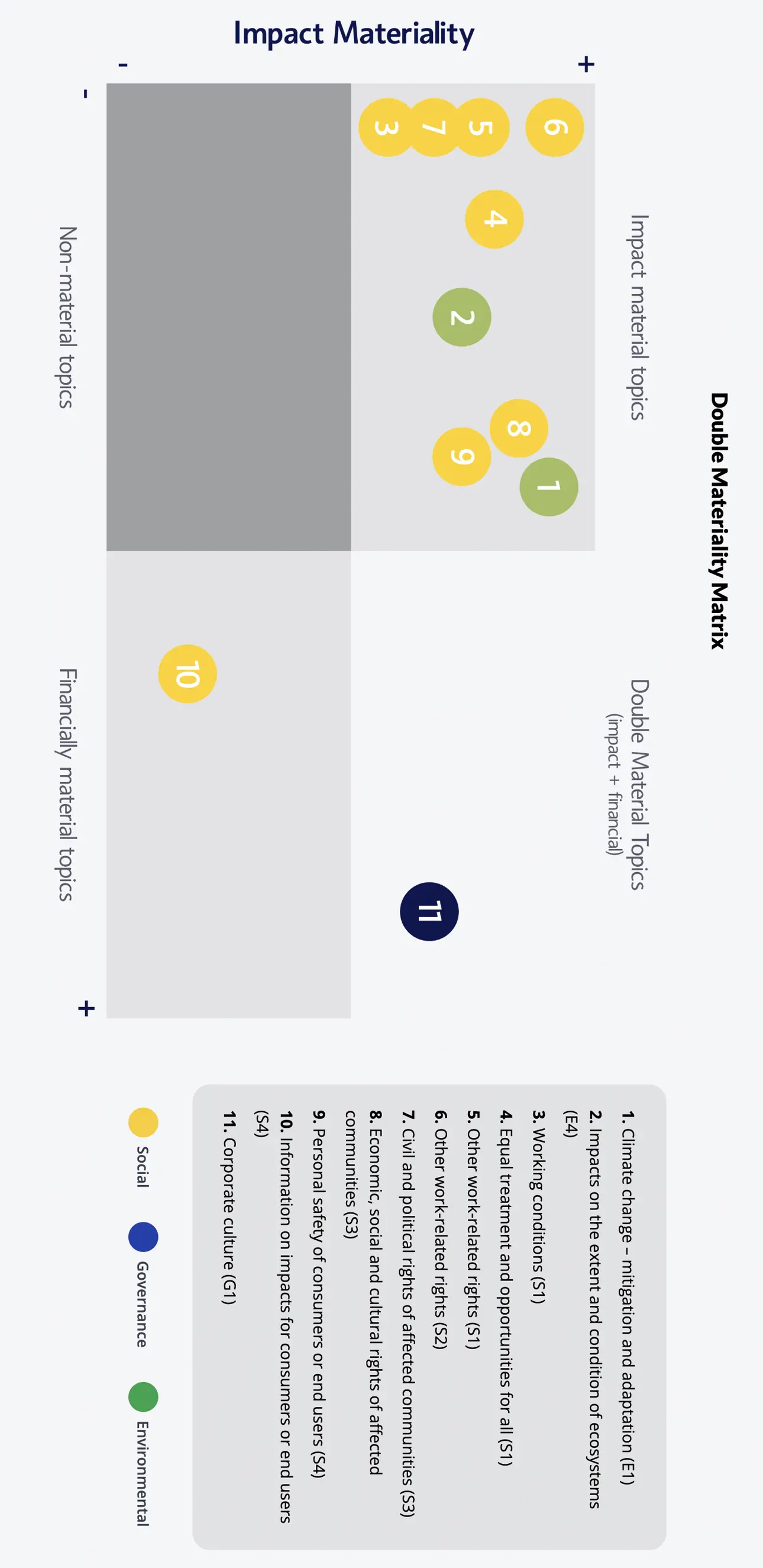 Double Materiality Matrix