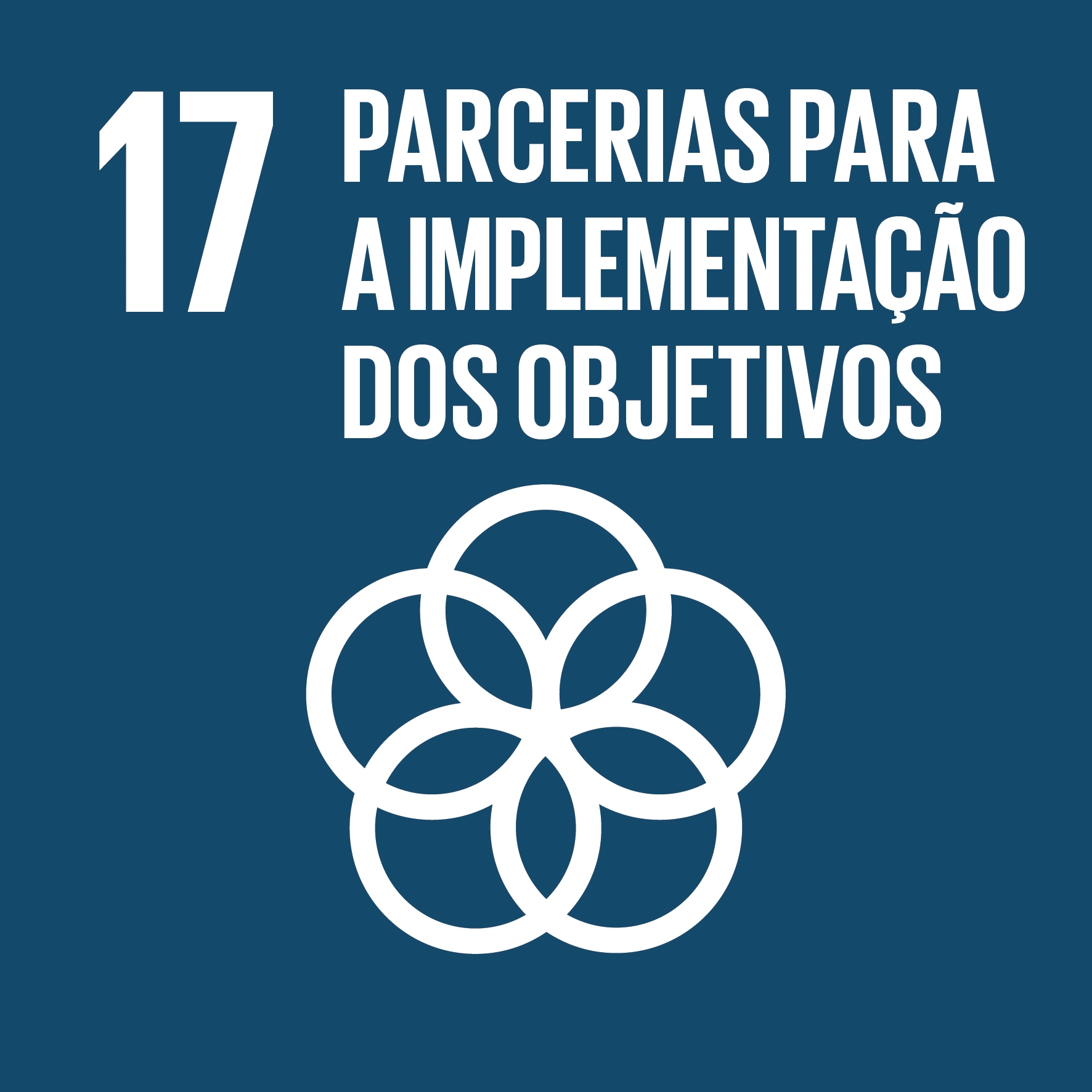Objetivo 17: Parcerias em prol das metas